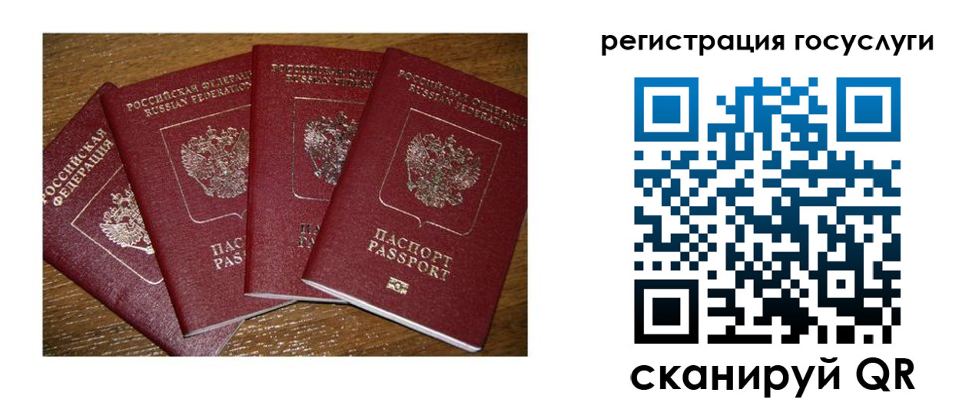 временная регистрация гарантия в Владимирской области