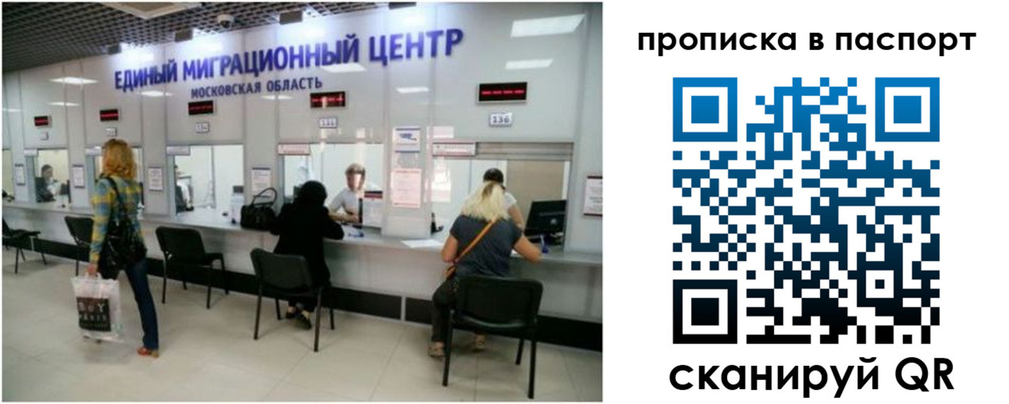 прописка в Владимирской области